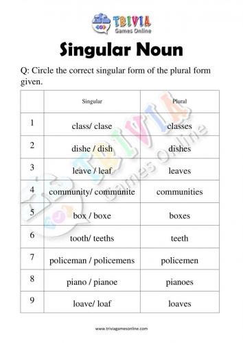 Singular-Noun-Quiz-Worksheets-Activity-04