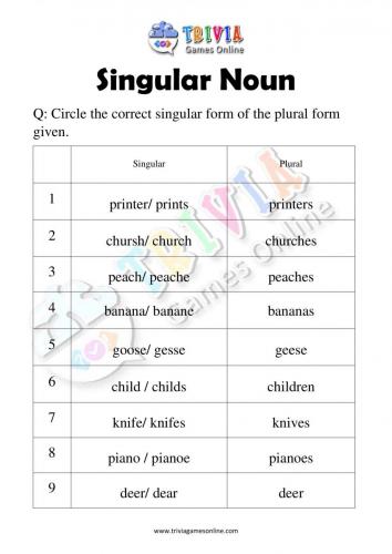 Singular-Noun-Quiz-Worksheets-Activity-05