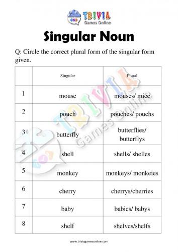 Singular-Noun-Quiz-Worksheets-Activity-06