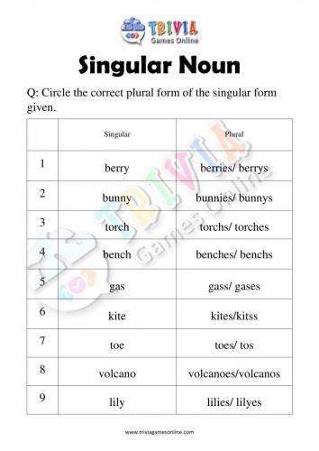 Singular-Noun-Quiz-Worksheets-Activity-07