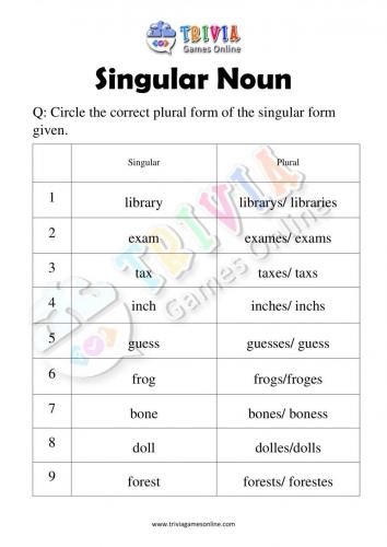 Singular-Noun-Quiz-Worksheets-Activity-08